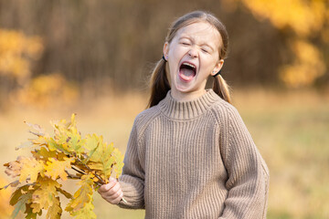 Funny laughing little girl in a cozy brown sweater holds a bouquet of vibrant yellow autumn leaves...