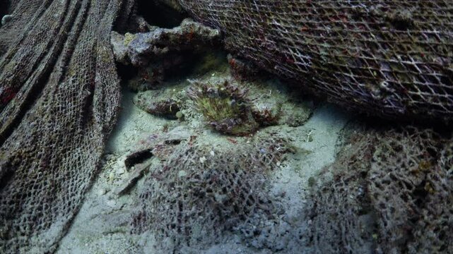 Wreck of the Turkish Trawler the Sabri Baba - Elba, Egypt