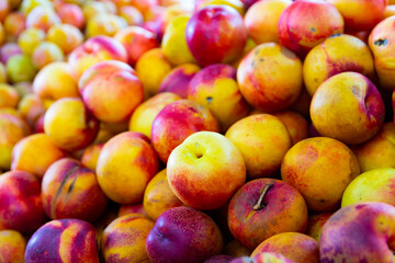 View of harvest of ripe fresh nectarines on counter in food market