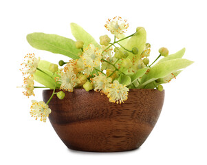 Linden flowers and leaves in bowl isolated on white