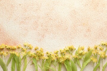 Branches with beautiful linden flowers and green leaves on color textured table, flat lay. Space for text