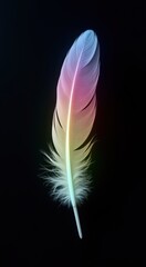 White feather that is sitting on a black surface