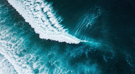 Crest of the wave, top view