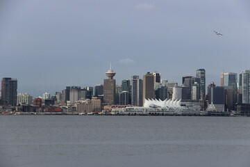new york city skyline