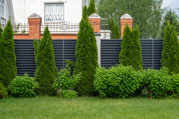 Suburban Landscape: Residential Privacy Screen with Metal Fence, Brick Columns, and Manicured...