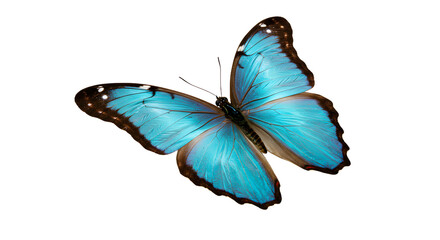 Vibrant blue butterfly gracefully fluttering against a soft backdrop, showcasing its intricate wing patterns and colors