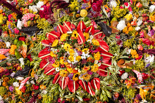 Exotic Colombian flower silletas - Colorful festival in Medellin.