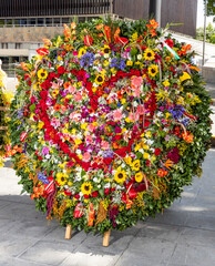 Medellin is celebrating, the flower fair returns with the silleteros parade