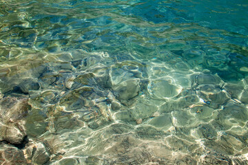 Abstract aquatic scene with shimmering sunlight on turquoise water over submerged rocks