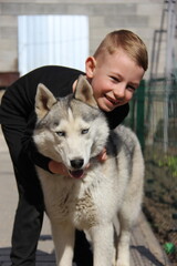 little girl with husky