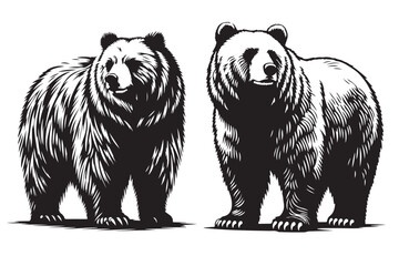 Obraz premium A cute grizzly bear cartoon vector illustration of a wild animal