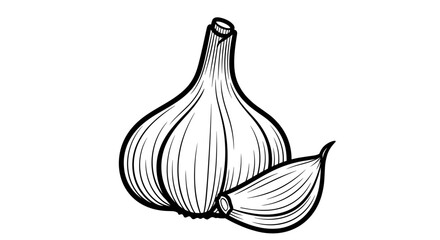 Head of garlic with a clove in black and white illustration style