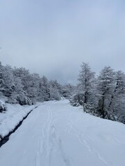 Obraz premium snow covered mountains