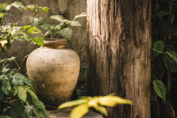 Old ceramic water jar, rustic texture, next to weathered wooden post, surrounded by lush green foliage, natural sunlight, tranquil outdoor garden scene