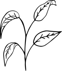 Flower hand drawing doodle element