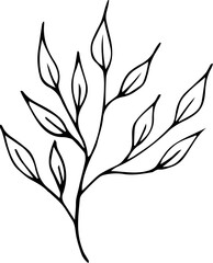 Flower hand drawing doodle element