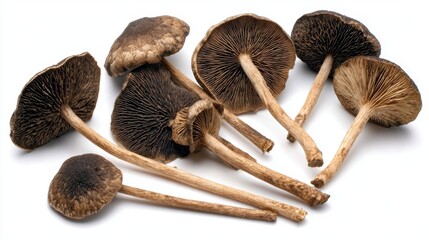 A cluster of dried mushrooms showcasing unique textures and shapes, ideal for culinary, health, or natural product imagery, as well as artistic or educational purposes,