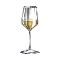 A glass of wine. Hand-drawn watercolor illustration. Isolation. Color image. For packaging and labels. For banners and posters. For restaurant menus, bars, and more.