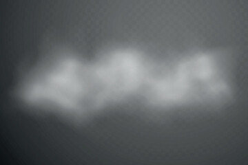 Smoke effect background. Realistic decorative fog in the air, vapor, creeping smoke puff. Layout of cloudy smog. Transparency vector illustration.