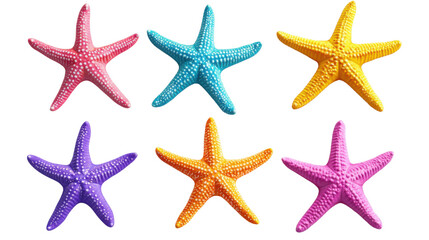 set of colorful starfishes on white background