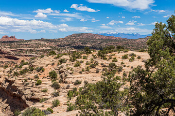 Fototapeta premium Landscape near Moab Utah near Canyonlands National Park. 