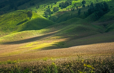 green field and mountains