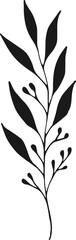 plant leaves simple drawing