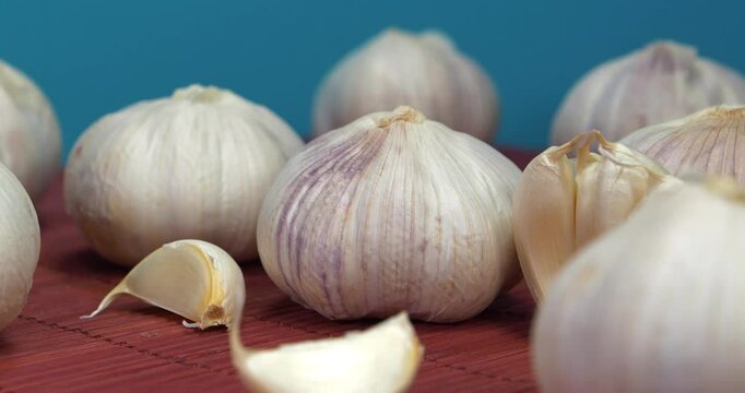 Garlic rotates on blue background. Garlic - very healthy product with many beneficial properties for health. Garlic, Allium sativum, species of bulbous flowering plants in genus Allium