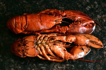 delicious lobster on the background