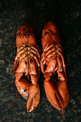 delicious lobster on the background