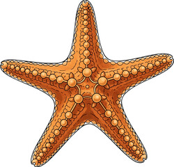 Starfish
