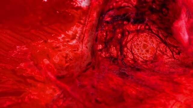 Blood texture in the light of the lantern.Crime Scene.Red blood wallpaper.rusty textured surface in red blood. 