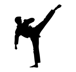 Black Silhouette Karate Kick
