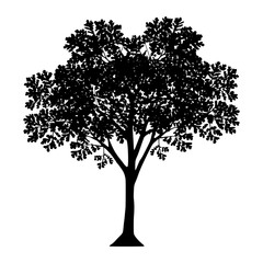 Obraz premium Silhouette Tree Vector Graphic