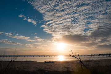 Lagoon with trees and landscape in ruins due to catastrophe.