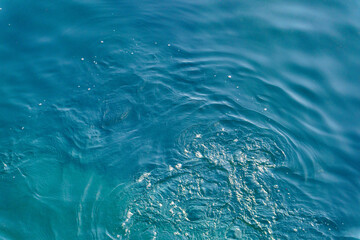 水面に漂う様々な形の青い波