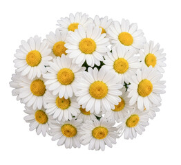 Fototapeta premium Overhead View of a Bouquet of Daisies