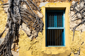 Photo of old tree roots and branches stuck on the side of an old building in Zanzibar, Africa
