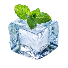 Refreshing Mint Ice Cube Cool Drink Summer