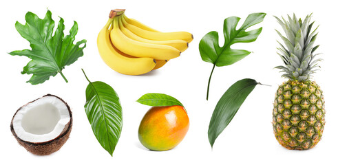 Tropical leaves and fruits isolated on white, set
