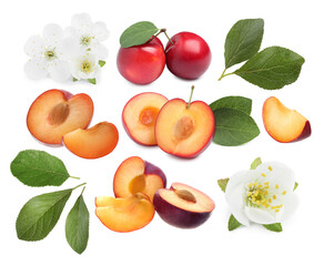 Yummy ripe plums, blossoms and green leaves on white background, collage