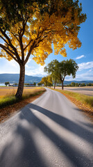 Fototapeta premium Gravel road curves through vibrant autumn trees with golden leaves. Scenic countryside setting with distant hills and peaceful ambiance. Concept of nature travel, outdoor adventure, relaxation