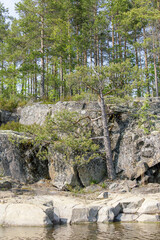 View of a rugged stone cliff at water’s edge with pine trees growing above and a clear summer sky...