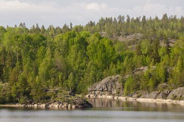Lush green Scandinavian forest meets rugged rock formations along a calm lakeshore on a sunny...