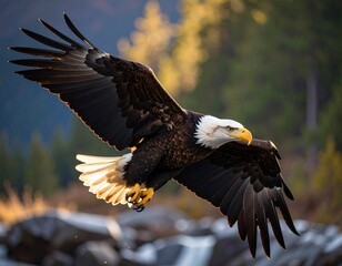Obraz premium Águia 