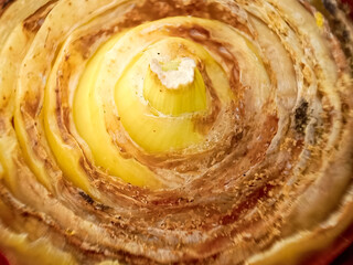 Pattern and partial view of onion rings