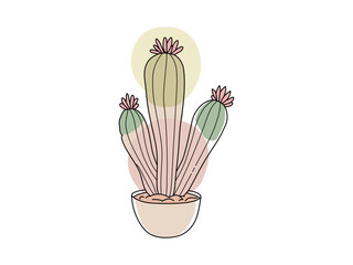 colorful cactus vector for ornamental plants