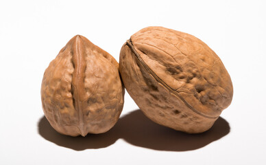 Two walnuts on a white background. The shell consists of three lobules.