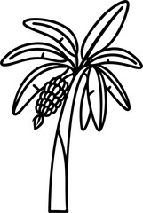 banana tree line art vector illustration, isolated on white