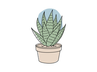 colorful cactus vector for ornamental plants